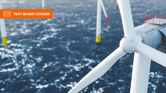 Environmental Impacts of Extracting Energy From the Ocean